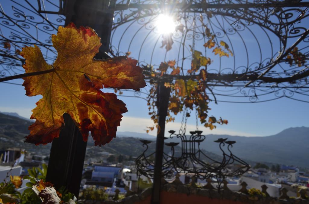 Dar Meziana Bed & Breakfast Chefchaouen Ngoại thất bức ảnh